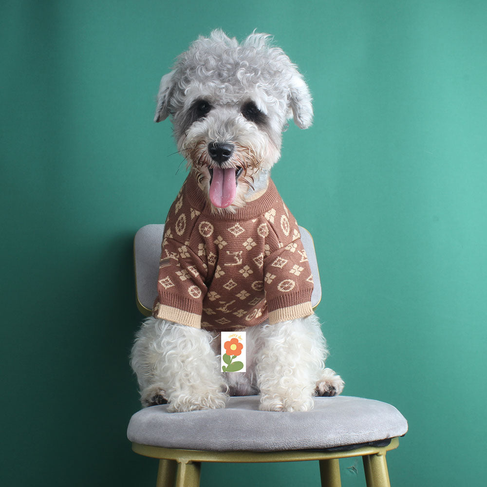 Vêtements d'automne et d'hiver pour animaux