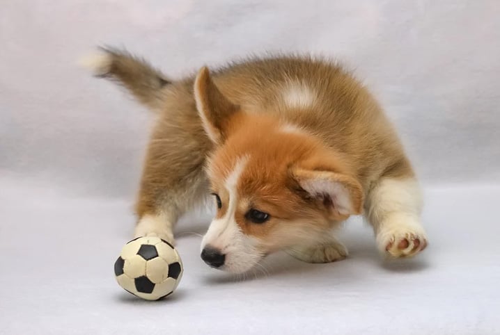Jouets