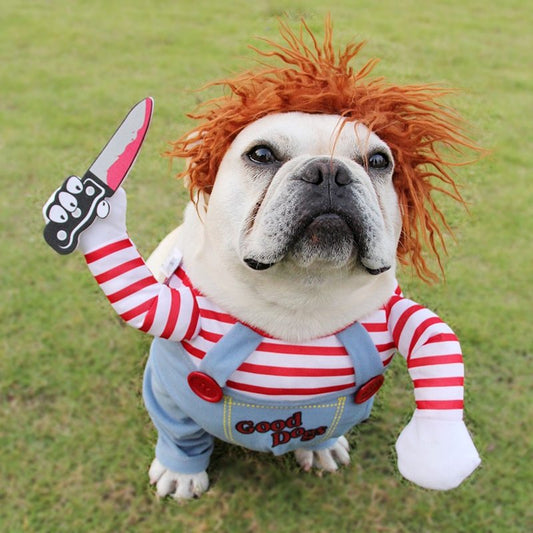 Monstre Doux - Costume d'Halloween pour Chien