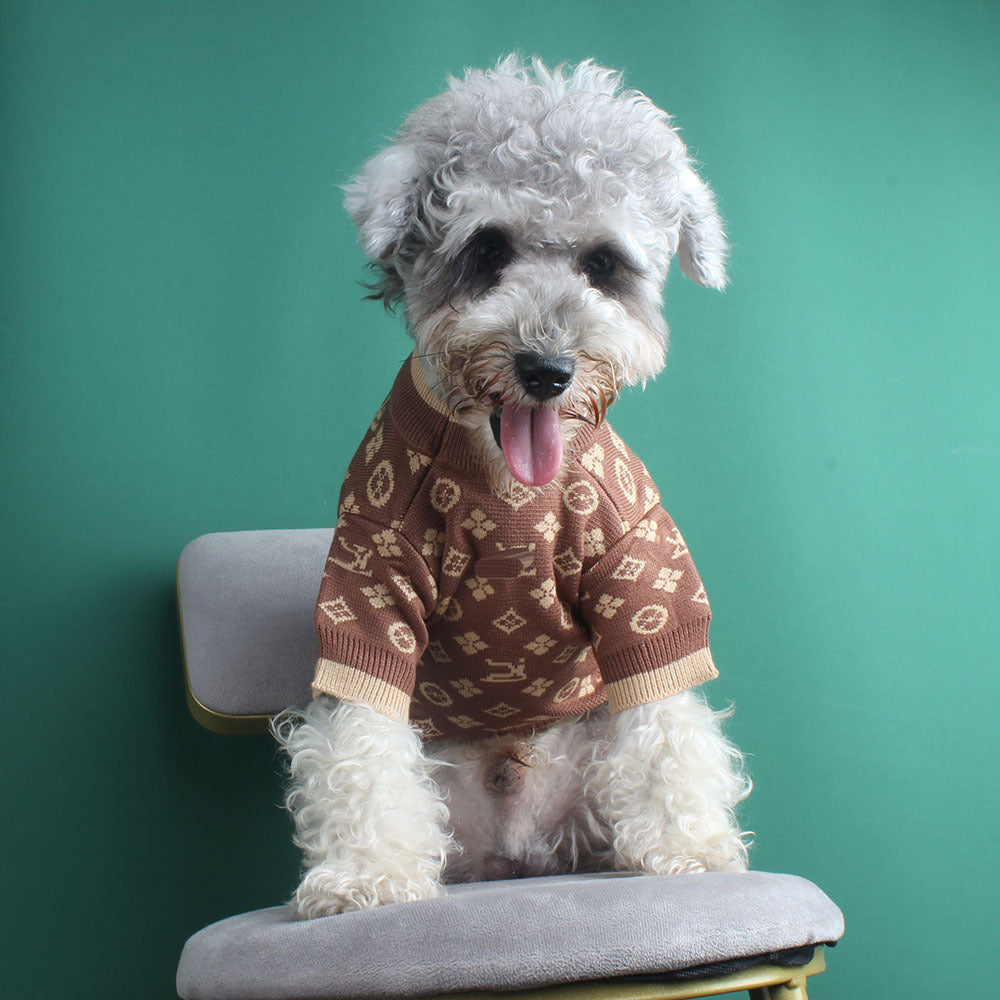 Vêtements d'automne et d'hiver pour animaux