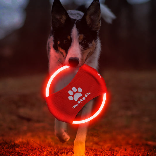 Disque Lumineux Interactif pour Chien – Frisbee LED Brillant pour Jeux Nocturnes